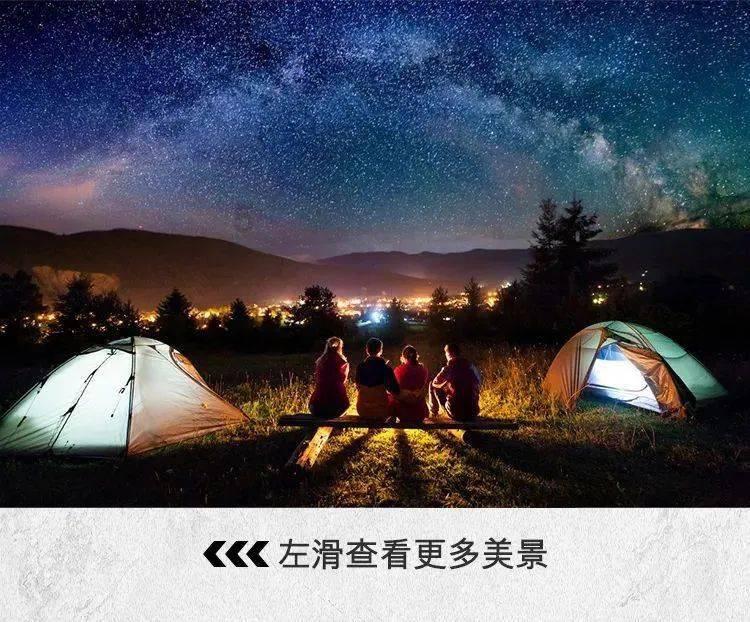 宇宙蜜蜂无敌版